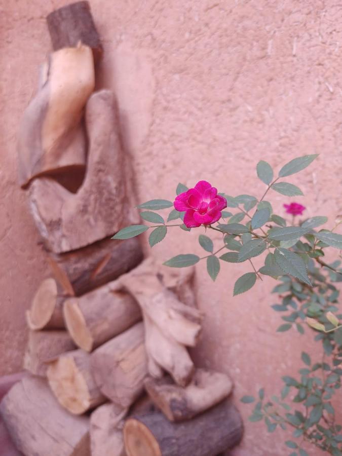 Les Jardins Du M'Goun Bed & Breakfast Kelaat-M'Gouna Exterior photo